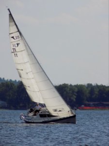 Tanzer 25 sailboat Solitaire 3234