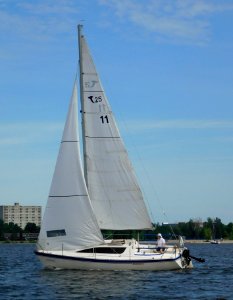 Tanzer 25 sailboat Solitaire 1979