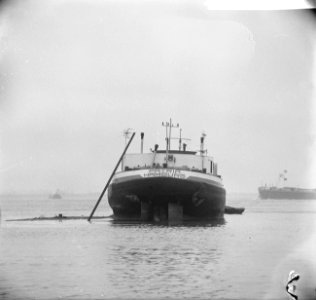 Tanker Patria uit Hamburg in weiland te Sint Andries, Bestanddeelnr 918-7254