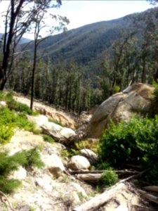 Telegraph Saddle to Sealers Cove Track, Wilsons Promontory National Park 02