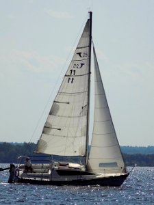 Tanzer 25 sailboat Solitaire 3239