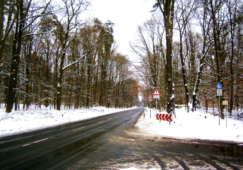 Tegel Konradshöher Nordost 52.58646 13.235827