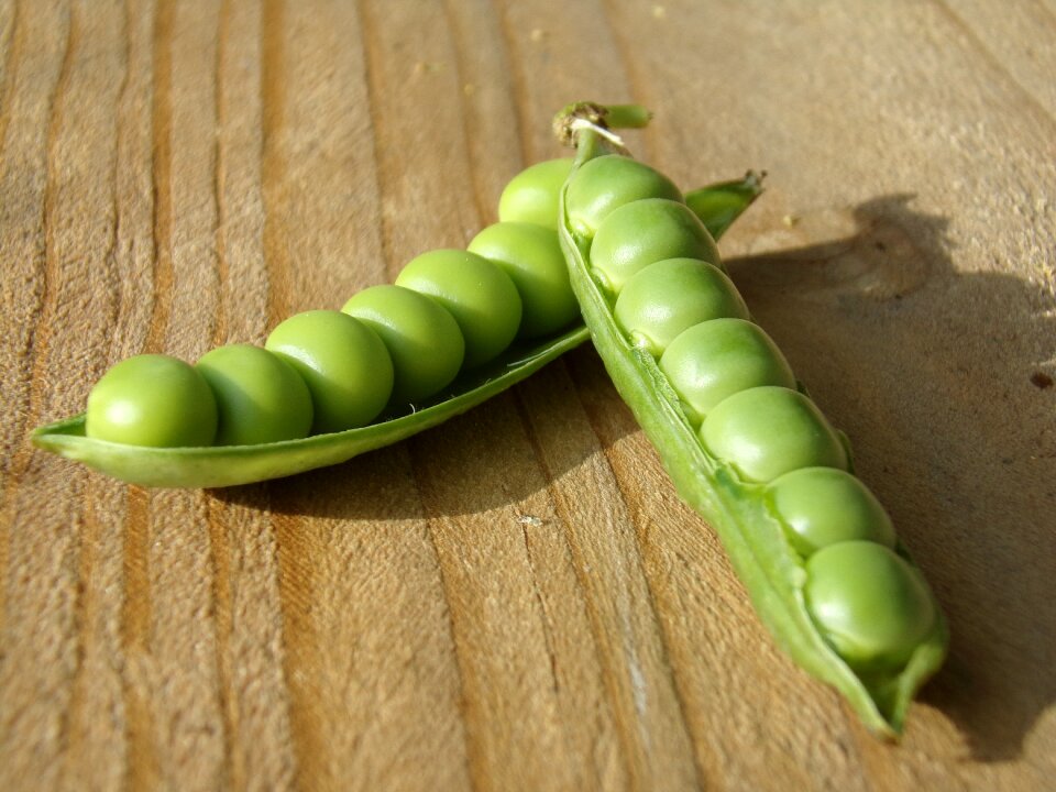 Vegetables green vagina