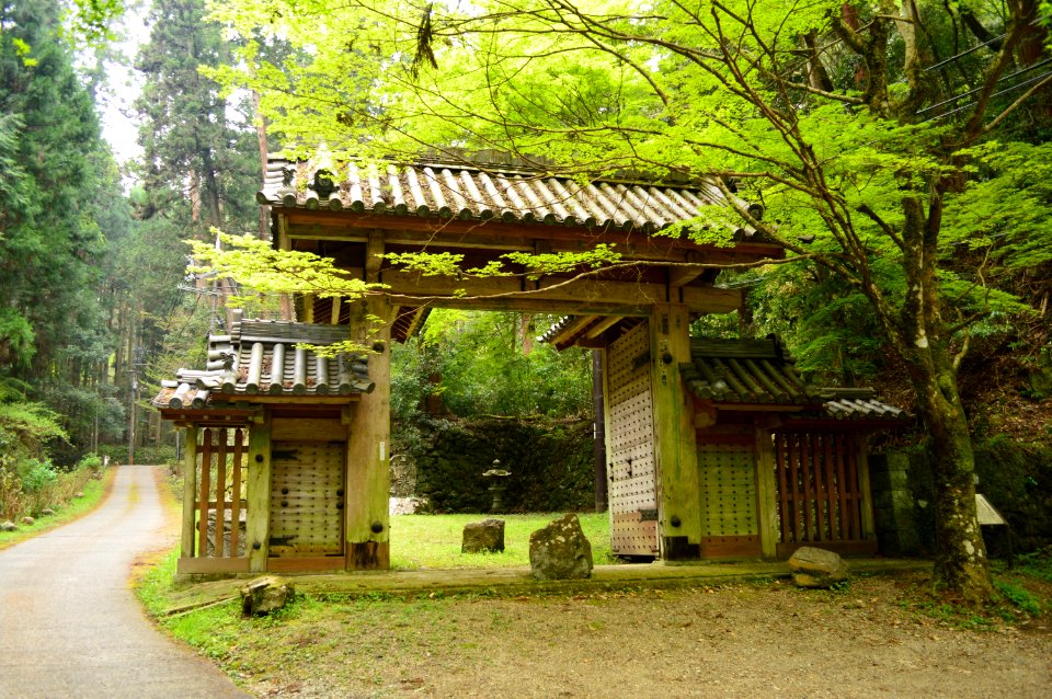 Tanzan-jinja, toudaimon