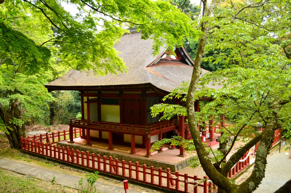 Tanzan-jinja, touden-2