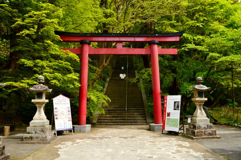 Tanzan-jinja, torii