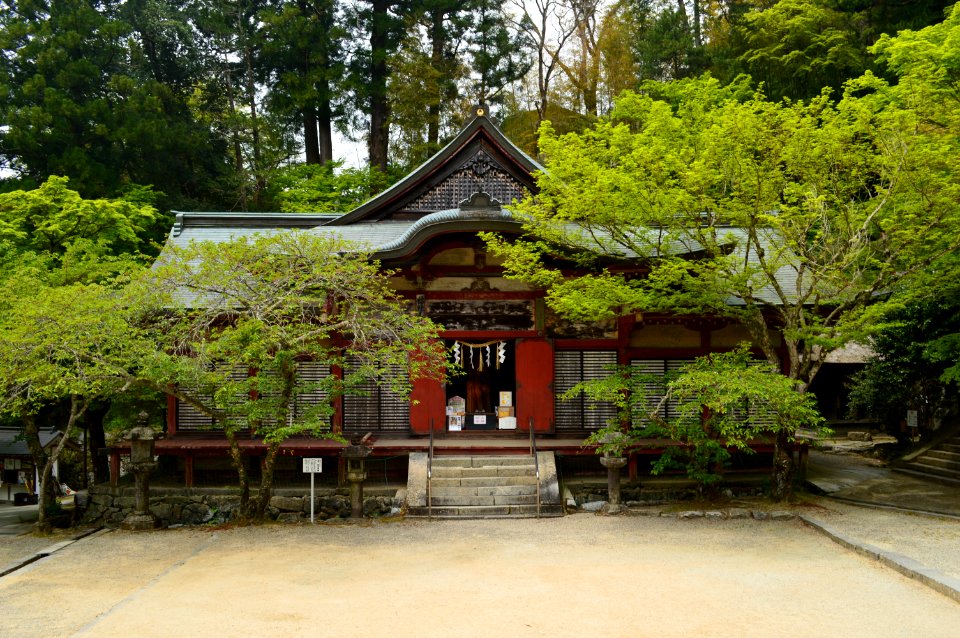 Tanzan-jinja, Soja, haiden