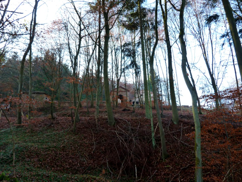 Tawern-Romeinse tempel (28)