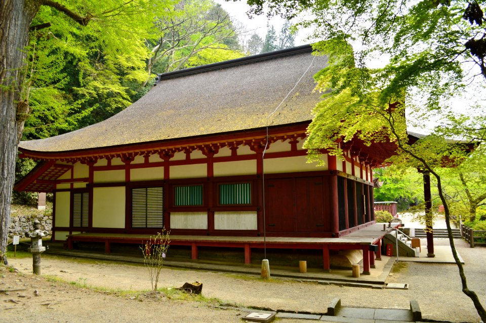 Tanzan-jinja, gonden-3