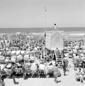 Tel Aviv. Drukbezocht strand op de sabbat met badgasten in strandstoelen, in het, Bestanddeelnr 255-1973