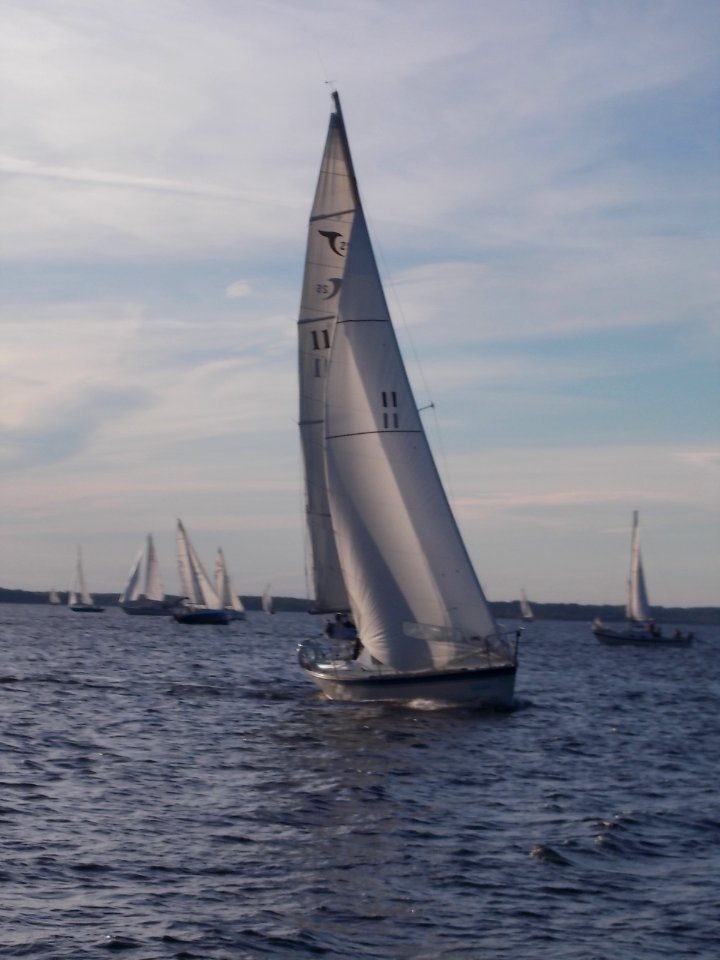 Tanzer 25 sailboat Solitaire 2920
