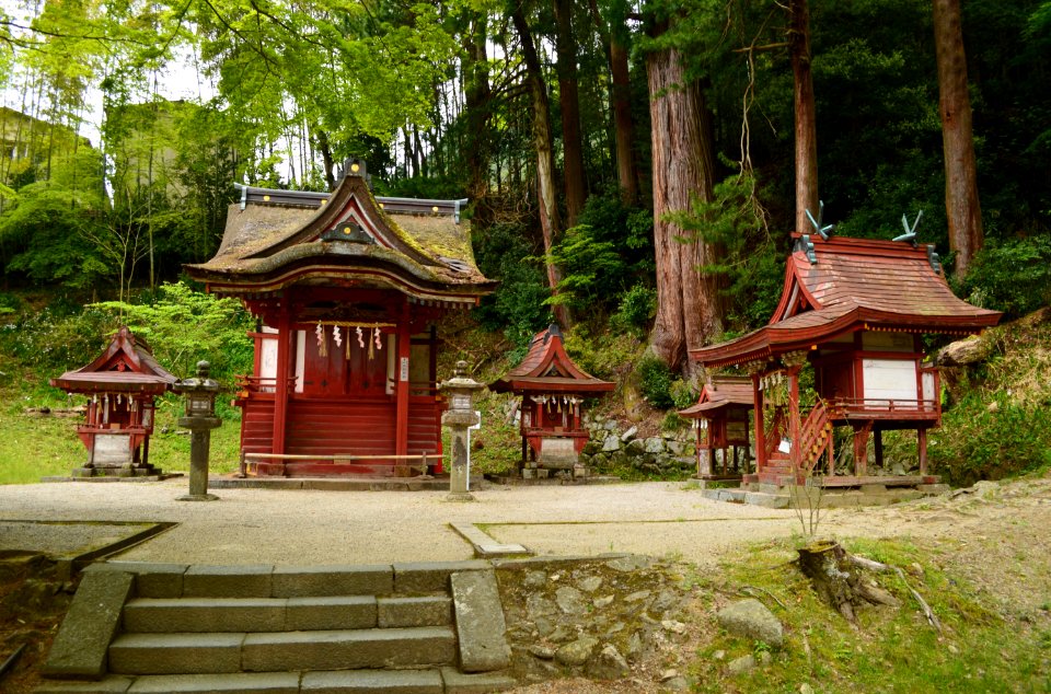 Tanzan-jinja, keidaisha
