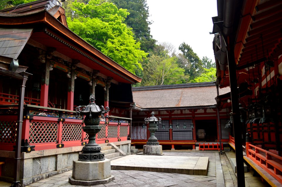 Tanzan-jinja, honden-3