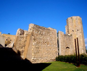 Tarragona - Circo romano 07