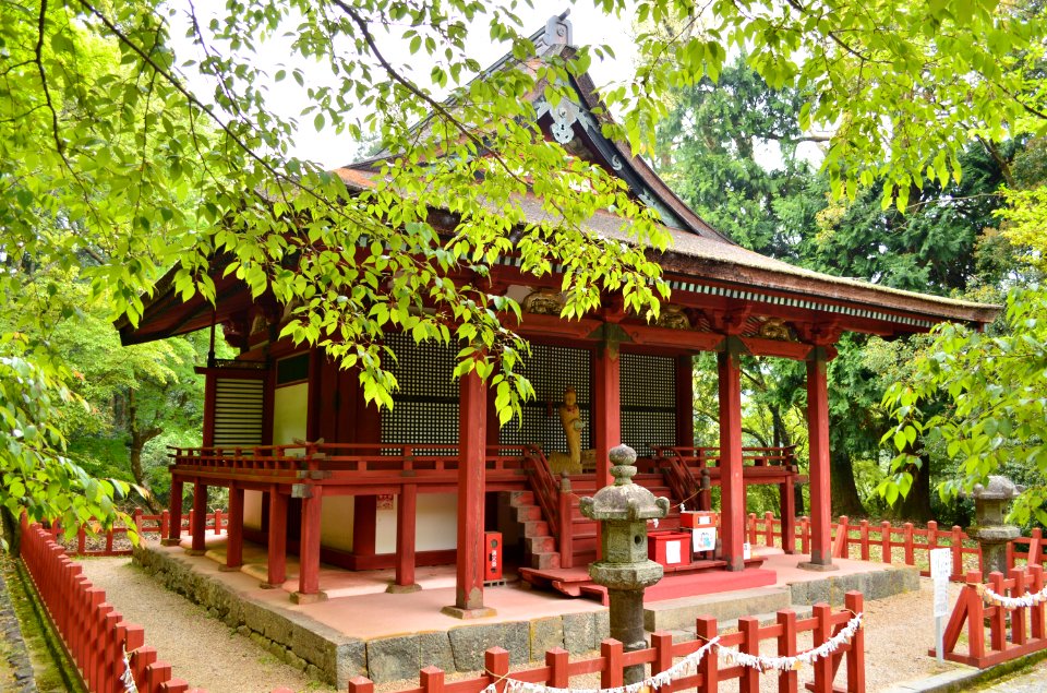 Tanzan-jinja, touden-1