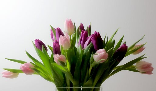 Spring bouquet beauty photo