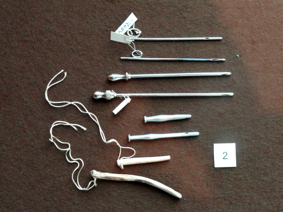 Teat cannulae - Arppeanum - DSC05118
