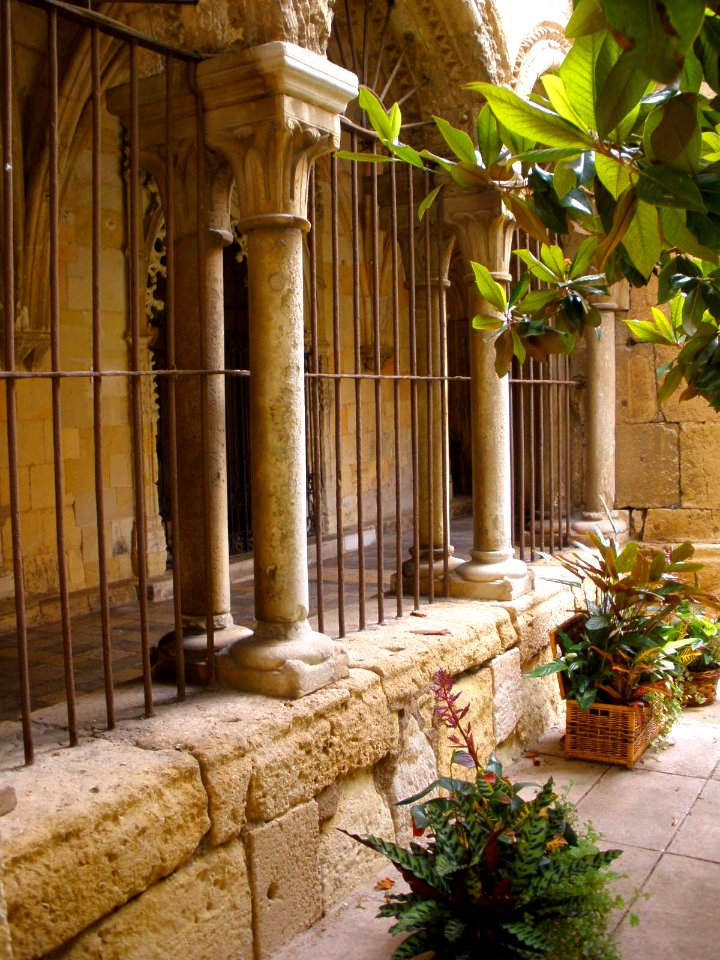 Tarragona - Catedral, claustro 28