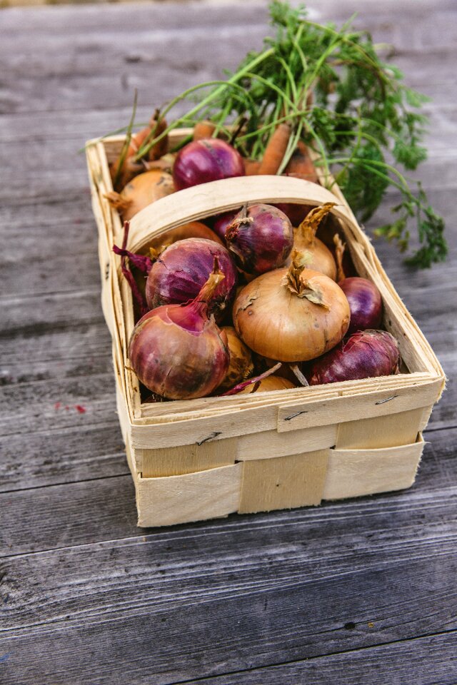 Thanksgiving garden fresh