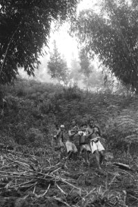 Tasikmalaya, Bestanddeelnr 1692-5-2