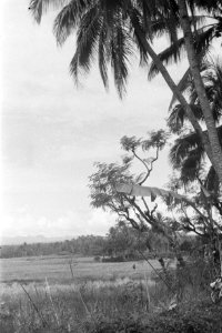 Tasikmalaya, Bestanddeelnr 1692-1-1