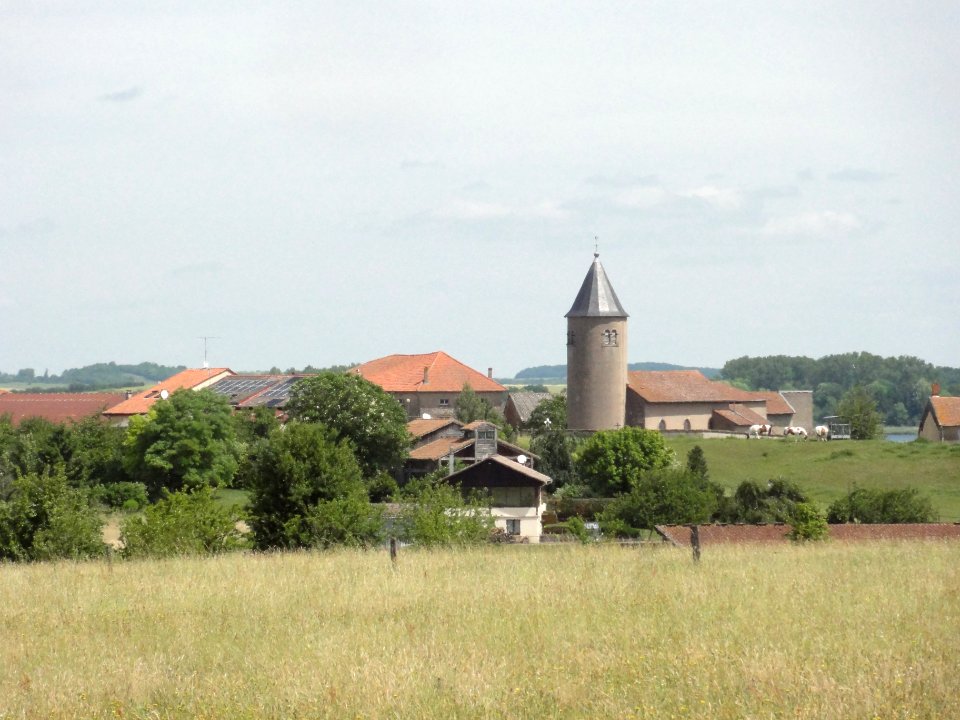 Tarquimpol (Moselle) vue du village