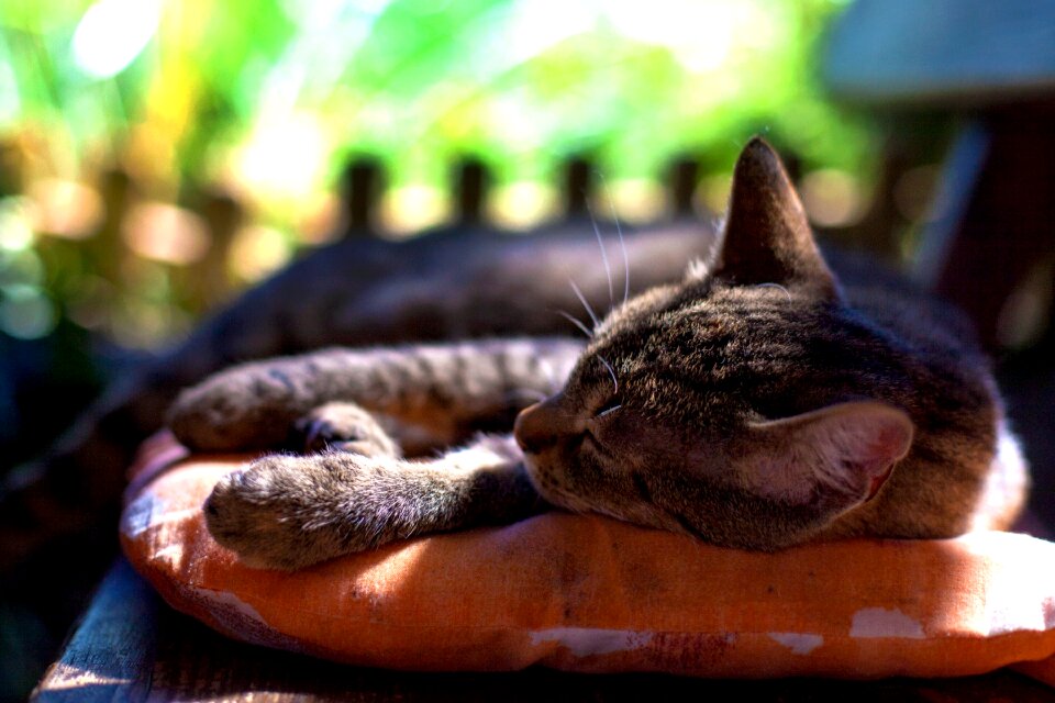 Sleeping sleep relaxation