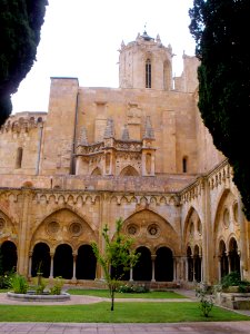 Tarragona - Catedral, claustro 05