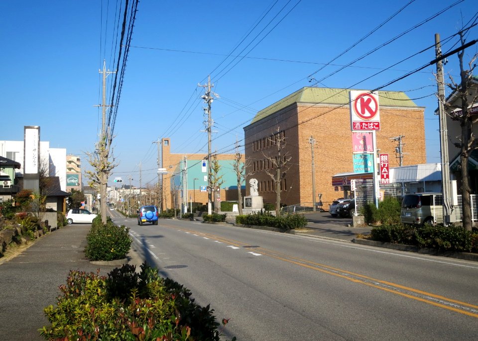 Tatsumigaokakaikan-Dori-1