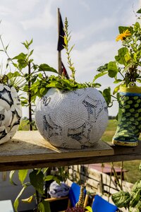 Self catering vegetables harvest