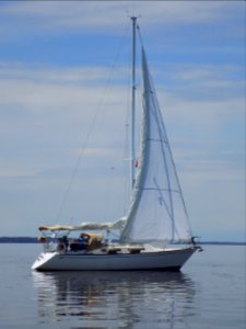 Tartan 34-2 sailboat I Don't Know 2396