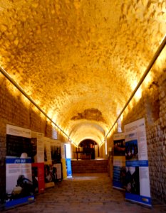 Tarragona - Circo romano 12