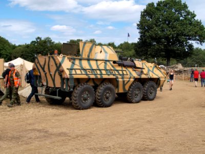 Tatra OT64 APC (1960) (Chzech) owned by David Froggatt pic08