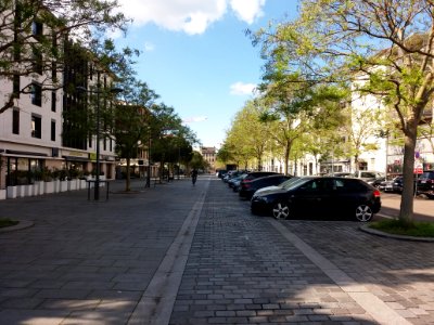 Tassin-la-Demi-Lune - Promenade des Tuileries - Vers le nord