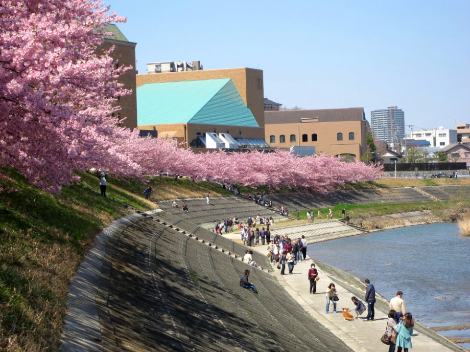 Tatsumigaoka-Kaikan-4