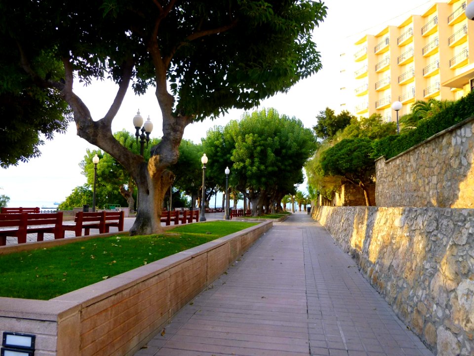 Tarragona - Paseo de las Palmeras 2