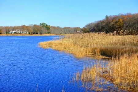 Taunton River at Dighton Rock State Park - Berkley, Massachusetts - DSC02003