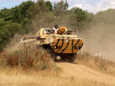 Tatra OT64 APC (1960) (Chzech) owned by David Froggatt pic18