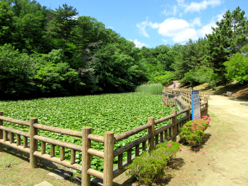 Tatsumigaoka-Park-1