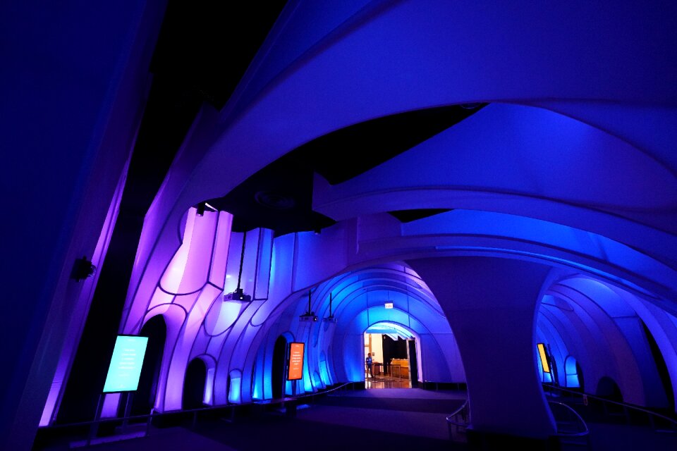 Chicago adler planetarium astronomy