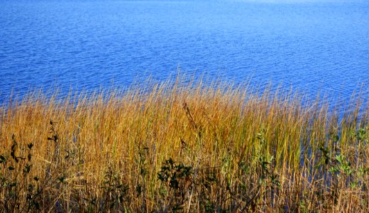 Taunton River at Dighton Rock State Park - Berkley, Massachusetts - DSC01967