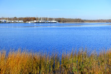 Taunton River at Dighton Rock State Park - Berkley, Massachusetts - DSC01971