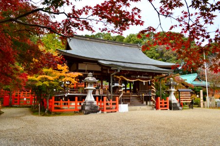 Tatsuta-taisha, haiden