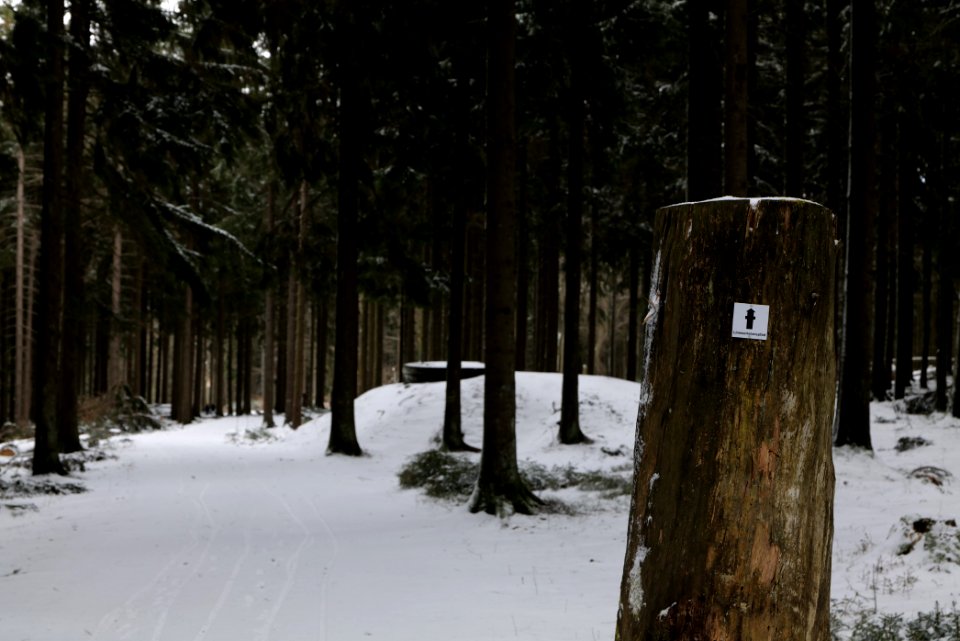 Taunus forest Schmitten with snow 2021-04-06 24