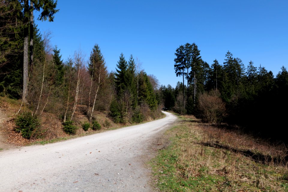 Taunus in Oberursel near Urselbach 2020-03-23 78
