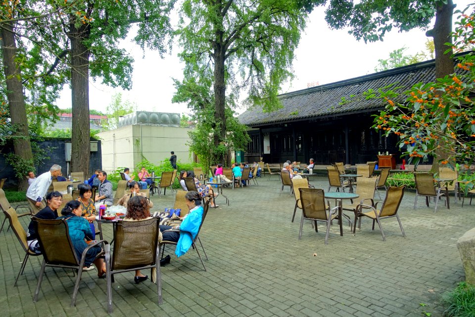 Tea time - Du Fu Thatched Cottage - Chengdu, Sichuan, China - DSC04979