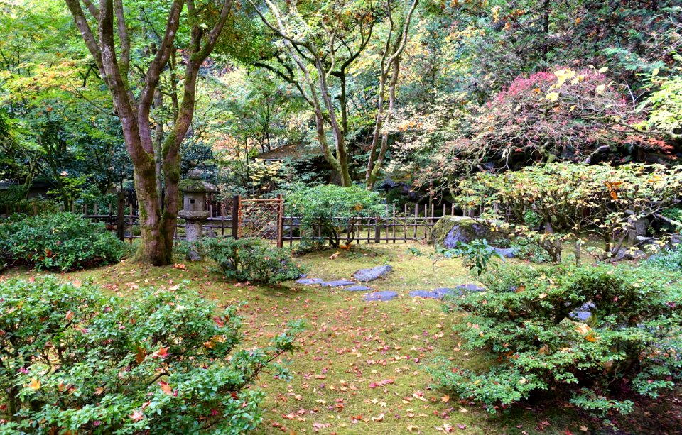 Tea garden - Portland Japanese Garden - Portland, Oregon - DSC08289