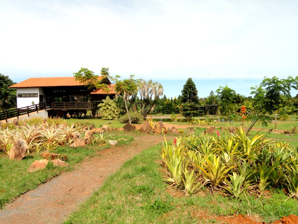 Tea House - Jardim Botânico de Brasília - DSC09732
