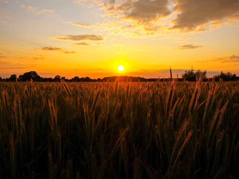 Twilight landscape nature