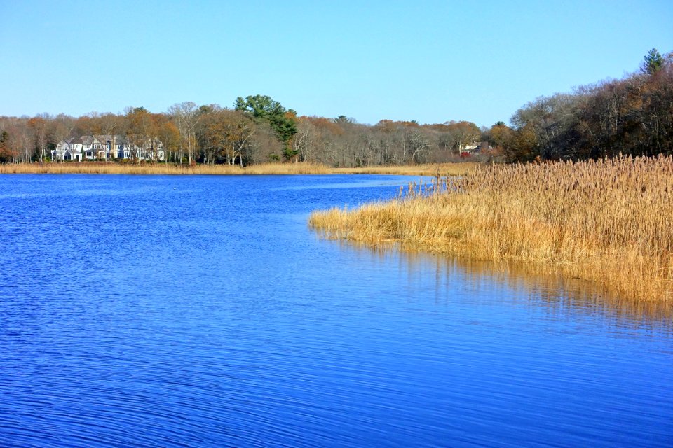 Taunton River at Dighton Rock State Park - Berkley, Massachusetts - DSC01997